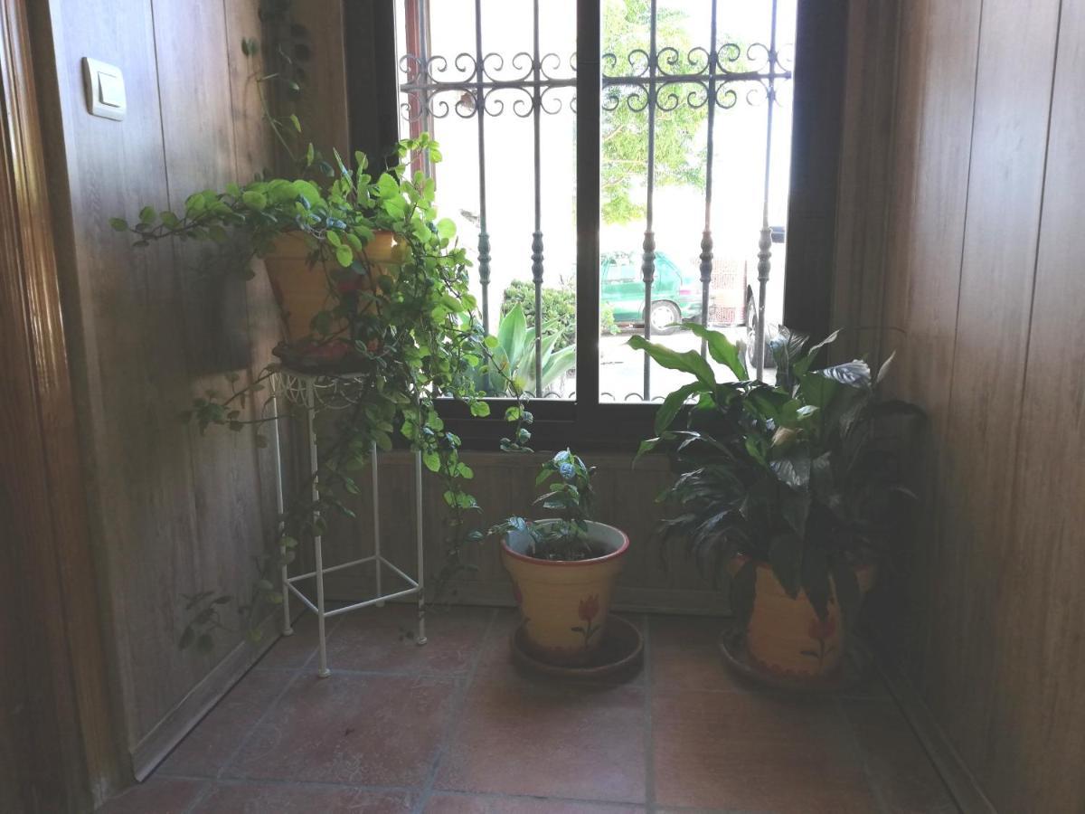 Hostal Breñaverde Gaucín Buitenkant foto