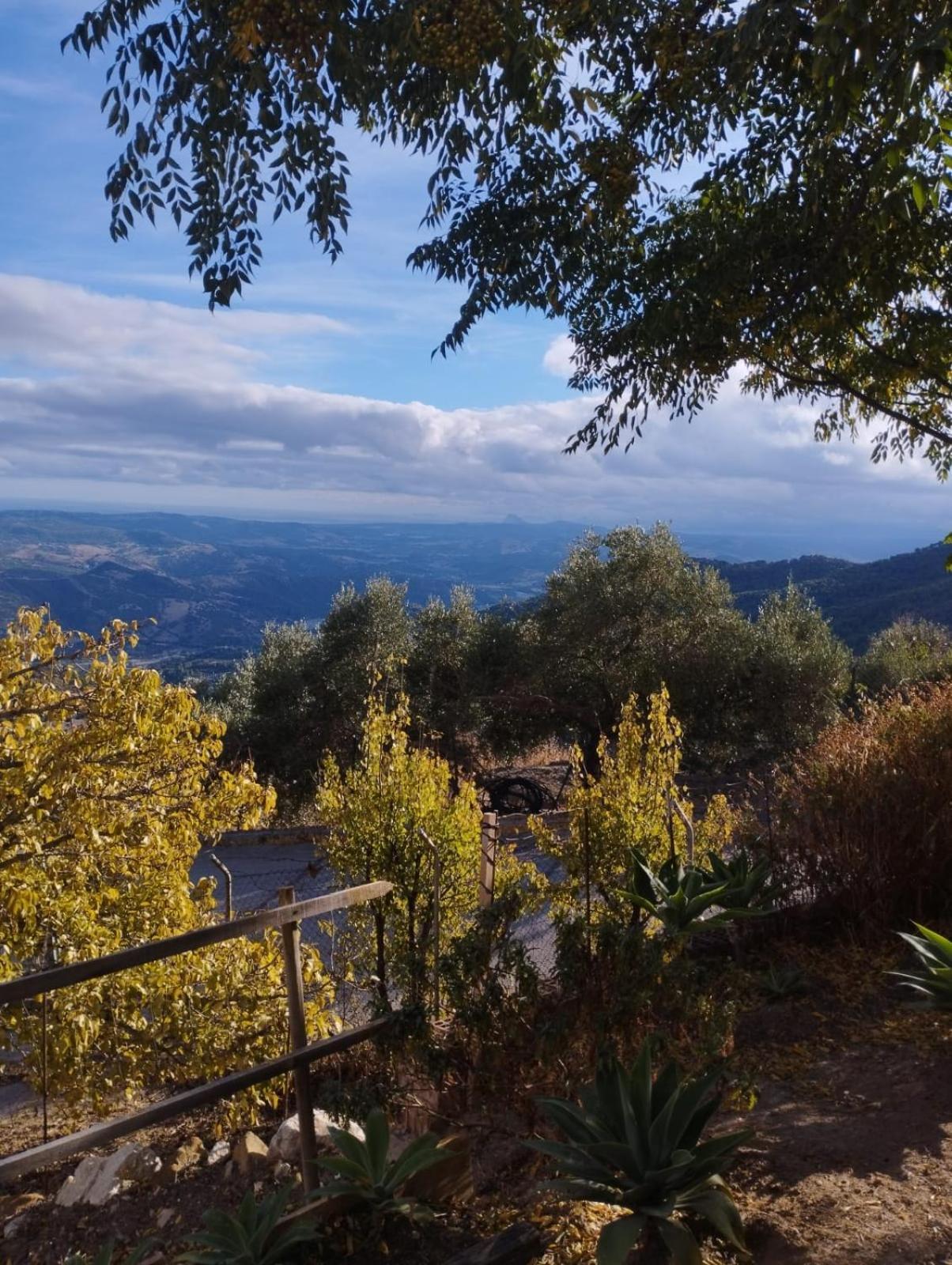Hostal Breñaverde Gaucín Buitenkant foto